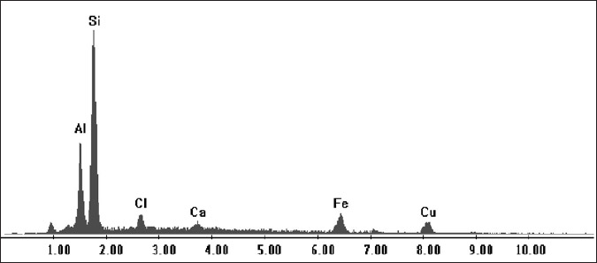Figura 11. Representación gráfica de la composición elemental del prill 1