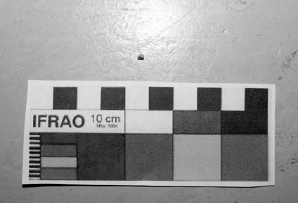 Figura 12. Prill 2, proveniente del recinto 47, sitio Rincón del Toro