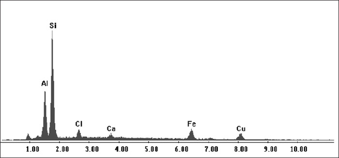 Figura 13. Representación gráfica de la composición elemental del prill 2