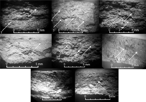 Figura 3. Fracturas frescas de los grupos de pastas 1, 3-8 y 10. Ref: 1: biotita, 2: cuarzo, 3: litoclastos sedimentarios, 4: feldespatos, 5: muscovita