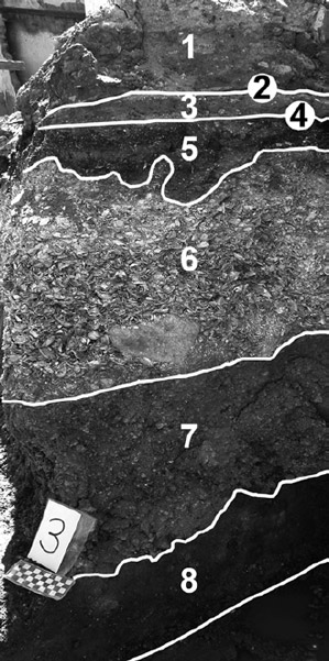 Figura 14. Perfil estratigráfico norte, Zanja 3. Descripción: 1) relleno moderno; 2) interfase demolición casa s. XIX; 3) nivelación casa s. XIX; 4) interfase construcción casa siglo XIX; 5) conchillas fragmentadas y humus; 6) conchillas principalmente enteras, estrato muy compacto; 7) conchillas y arena fracción gruesa con cantos rodados, estrato poco compacto; y 8) roca madre, gneiss