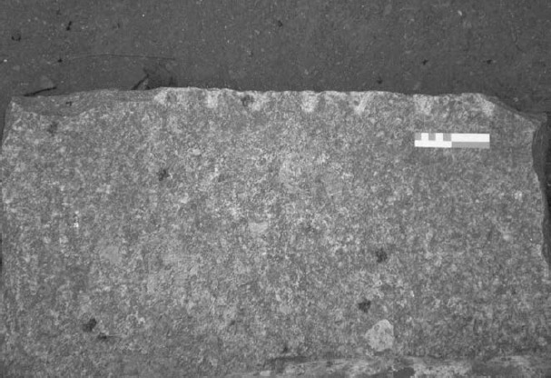 Figura 6. Bloque de granito (trotadera) que presenta una sucesión de marcas de pinchotes, evidenciando la línea de corte. Recuperado del sitio Corralón de Floresta (Camino 2007)