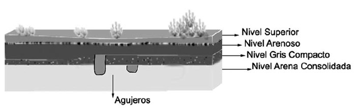 Figura 6. Esquema de la secuencia estratigráfica con ubicación en la misma de los rasgos negativos identificados en el sector SJ1