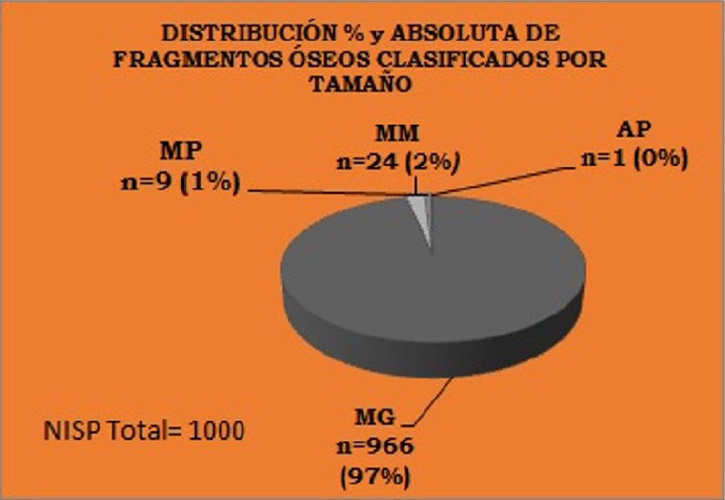 Figura 3. Distribución porcentual de los diferentes tamaños de fragmentos óseos que representan a las categorías