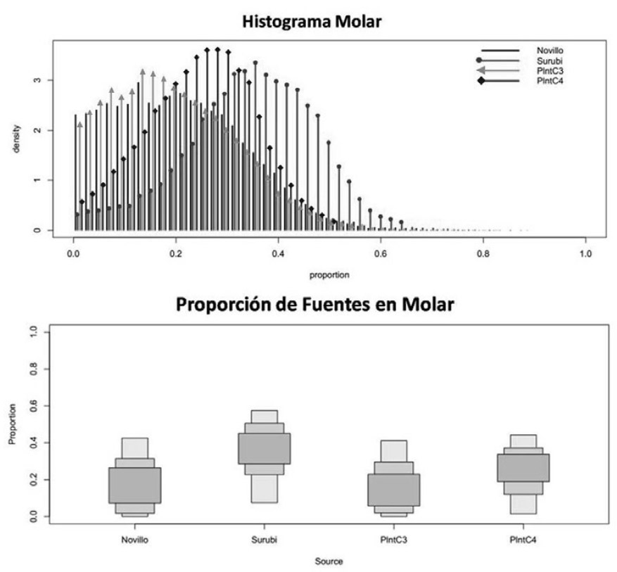 Figura 3: Proporción de los alimentos en la dieta de los individuos en los primeros años de vida