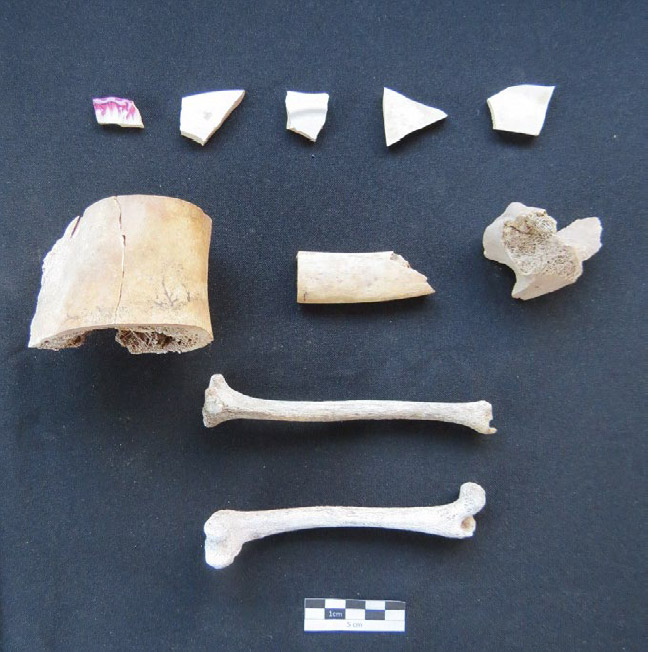 Figura 13. Restos cerámicos y arqueozoológicos presentes en MLA