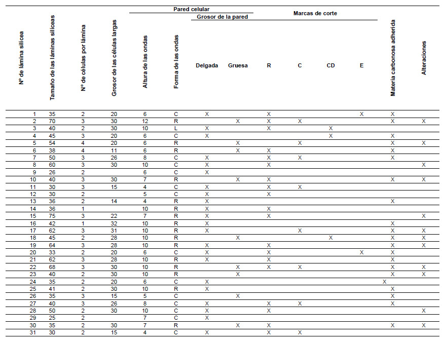 Tabla 3. Características observadas en las láminas silíceas de glumas de cereales del Nivel II del Sondeo 2 de CH25. Referencias: *medidas en μm; 1tipos de marcas de cortes observados: R: recto; C: curvo; CD: cóncavo doble; E: escaleriforme