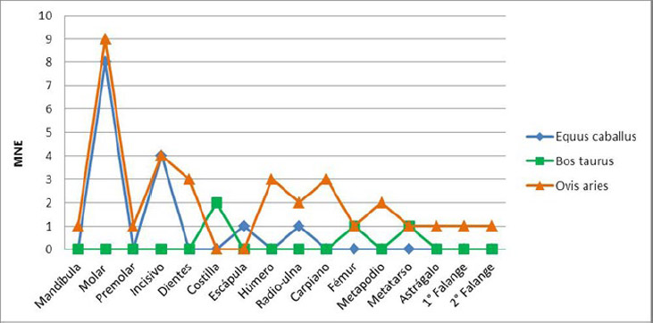 Figura 3. Comparación de la representación de partes esqueletales de las distintas especies domésticas según el MNE