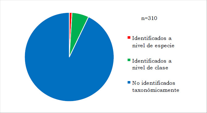 Figura 2. Composición del conjunto arqueofaunístico