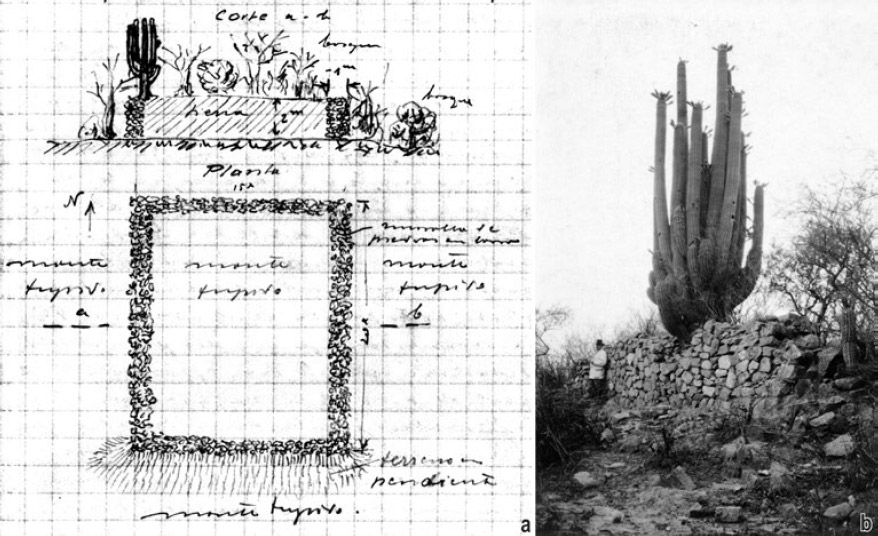 Figura 5.a: dibujo en planta y perfil de la estructura observada por Weiser sobre una elevación de terreno (MLP-Ar. Diario de Viaje VIII° Expedición Arqueológica Benjamín Muniz Barreto a la Provincia de Catamarca, 1925/1926:25); b: fotografía de dicha estructura tomada por Weiser. La persona que aparece en la fotografía es el dibujante Friedrich Wolters (MLP-Ar. Fotografías VIII° Expedición Arqueológica Benjamín Muniz Barreto a la Provincia de Catamarca, 1925/1926)