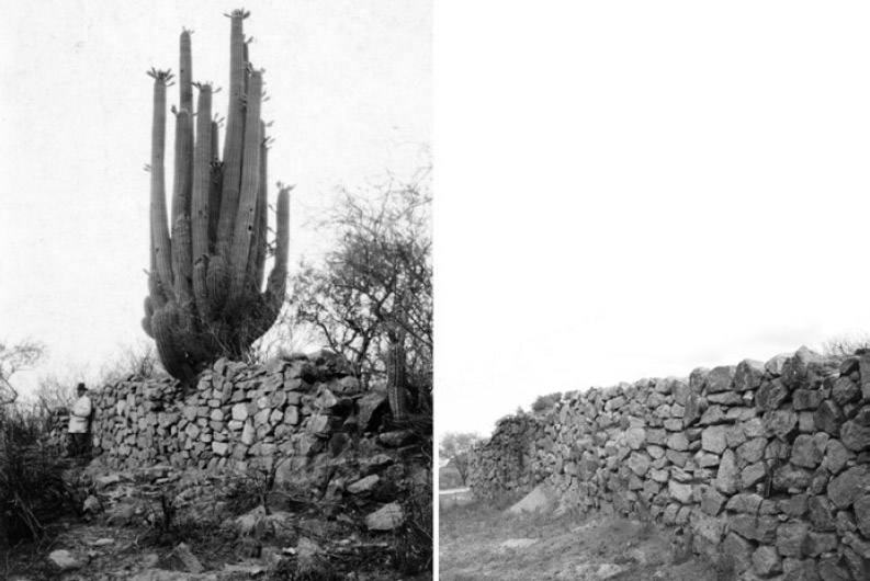 Figura 8. Pared oriental del ushnu de El Shincal de Quimivil; a: fotografía tomada por Weiser. La persona que aparece como referencia en la fotografía es Friedrich Wolters (MLP-Ar. Fotografías VIII° Expedición Arqueológica Benjamín Muniz Barreto a la Provincia de Catamarca, 1925/1926); b: fotografía de la misma pared realizada el 20 de junio de 2016 (Fotografía de Reinaldo A. Moralejo