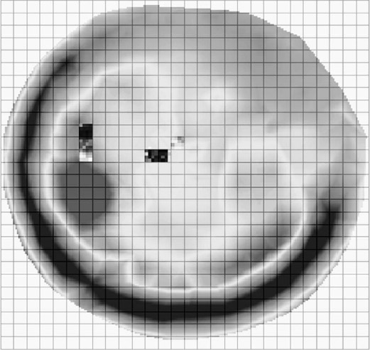 Figura 2: Imagen del MDE el reticulado y las áreas intervenidas hasta 2008/2009, en gradación de grises que muestra la concentración de restos por unidad muestral de superficie, desde lo más oscuro donde existe más concentración de restos hacia lo más claro