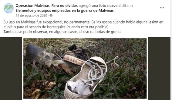 Figura 10: Post en Facebook con imagen de base de zapatillas Flecha en Malvinas