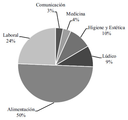 Figura 5. Proporción general de categorías de artefactos MNO