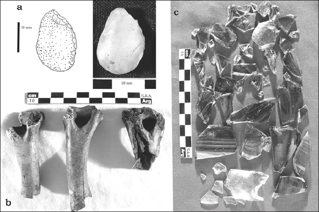 Figura 6. a- fotografía y dibujo esquemático de artefacto formatizado; b- fragmentos de húmeros de Ovis aries; c- restos vítreos recuperados en el sitio