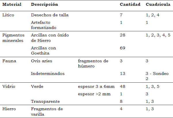 Tabla 2. Descripción general de hallazgos, cantidad y ubicación