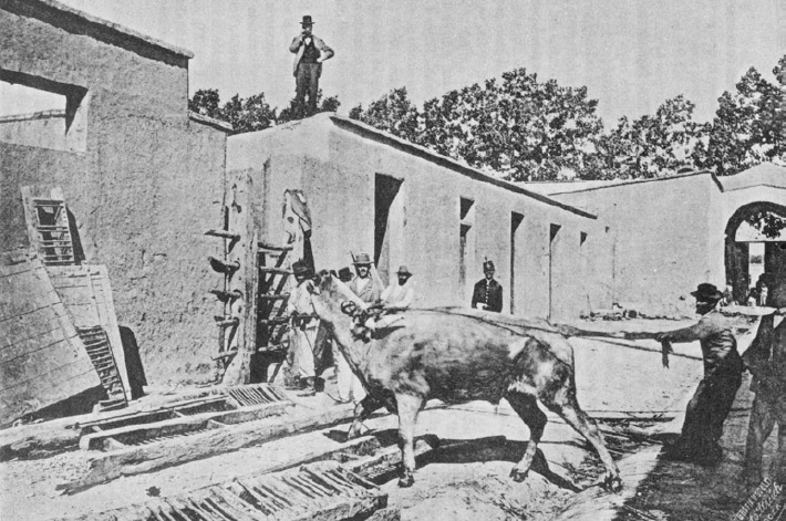 Figura 1. Sistema Antiguo de matanza en el Matadero Público de Mendoza (Coni 1897, en Bárcena y Schávelzon 1991:42)