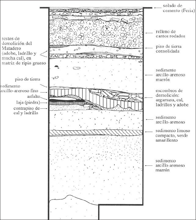 Figura 3. Estratigrafía del sector de donde proceden los materiales aquí excavados (Tomado de Bárcena y Schávelzon 1991:71)