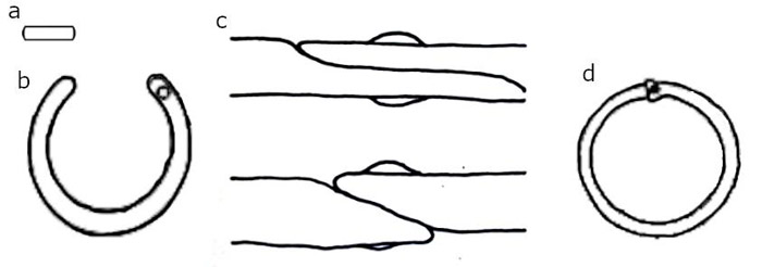 Figura 8. Elementos y esquema de unión del alambre con remache: a. remache, b. alambre preparado, c. diferentes formas de martillado (tomado de Jouttijärvi, 1996, p. 54), d. anilla terminada