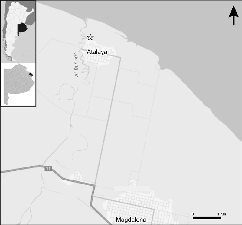 Figura 1: Localización de la localidad de Atalaya y la ciudad de Magdalena, partido de Magdalena, (Buenos Aires, Argentina). En la estrella se localiza el sitio Saladero Repetto y Cía.