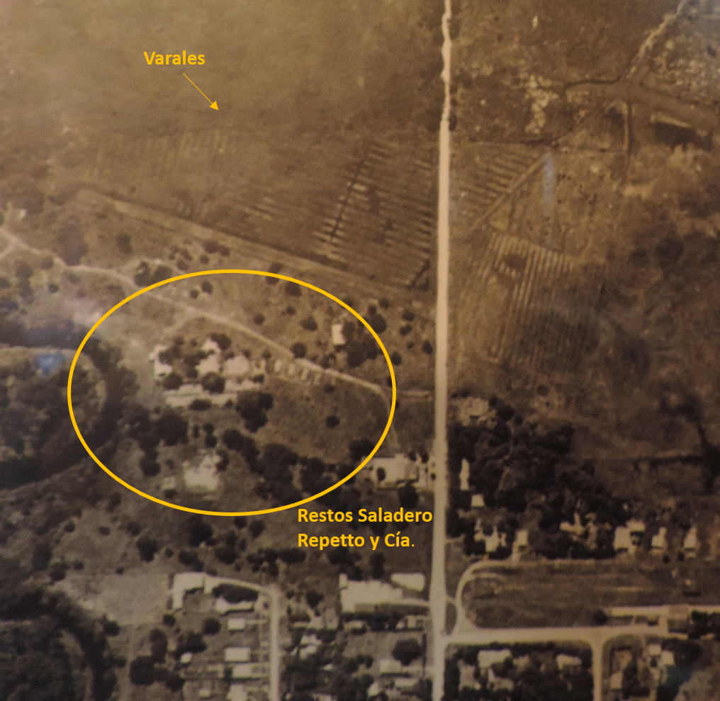 Figura 10: Imagen aérea, circa 1966-7, donde se señalan los restos del saladero y la zona de varales aún reconocibles (Cortesía D. Pitté)