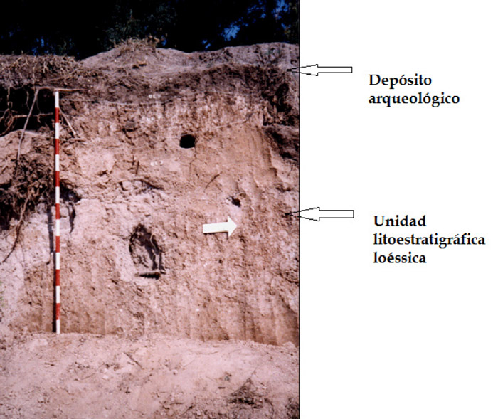 Figura 3. Estratigrafía La Boca
