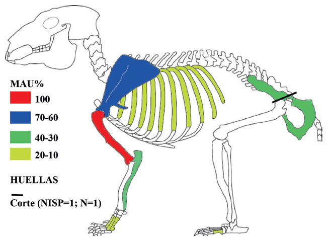 Figura 8. MAU% sobre Dolichotis patagonum con ubicación y frecuencia de huellas antrópicas