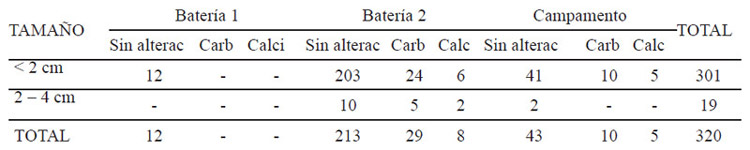 Tabla 3. Cuantificación y estado de preservación de los fragmentos indeterminados de las Baterías y el Campamento.