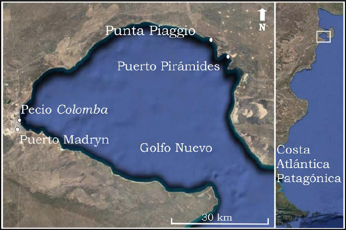 Figura 2. Ubicación del pecio Colomba y los lugares vinculados a su historia (Fuente: Google Maps 2017)
